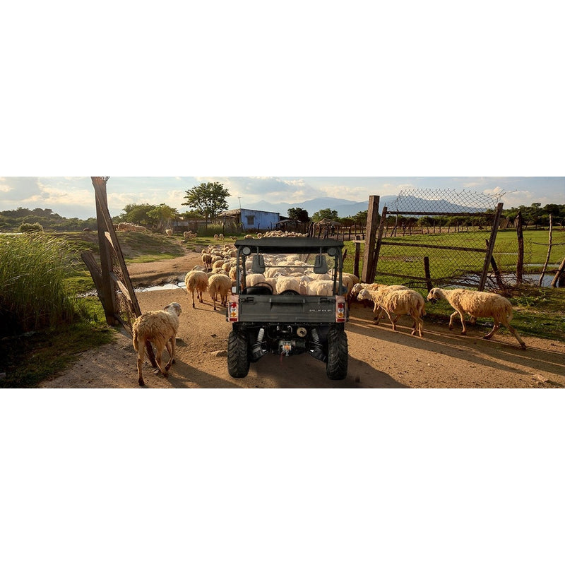 2024 BMS Motor Ranch Pony 600 EFI 2 Seater Side By Side Utility Terrain Vehicle UTV